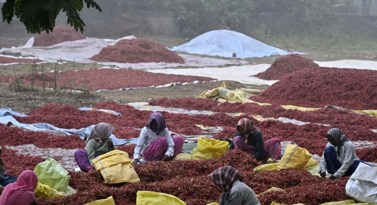 India’s spice exports hit