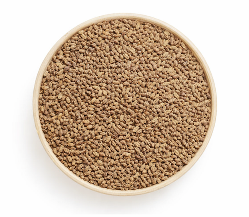 Mustard Seeds